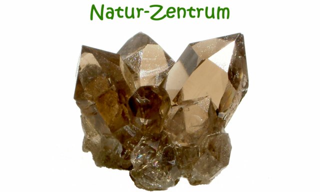 Natur-Zentrum „Steilädeli“